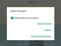 Delete For Everyone : Cara Menghapus Pesan Whatsapp Yang Sudah Terkirim