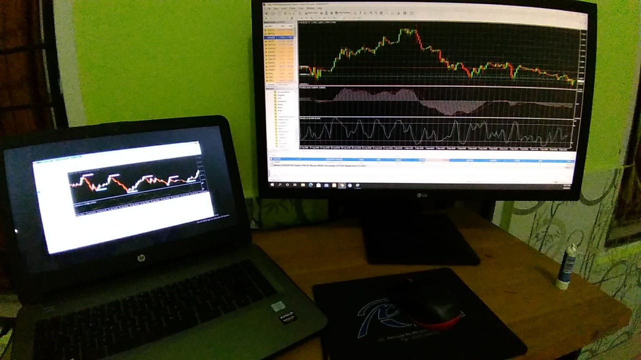 Dasar Forex, Sekilas Pemahaman Tentang Trading Forex - Mikaylabinar.com