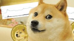 Yang Perlu Kalian Ketahui Tentang Mata Uang Kripto Dogecoin