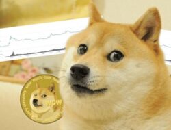 Yang Perlu Kalian Ketahui Tentang Mata Uang Kripto Dogecoin