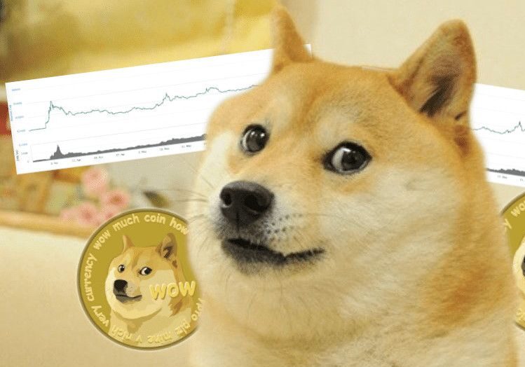 Transfer doge from robinhood to trust wallet