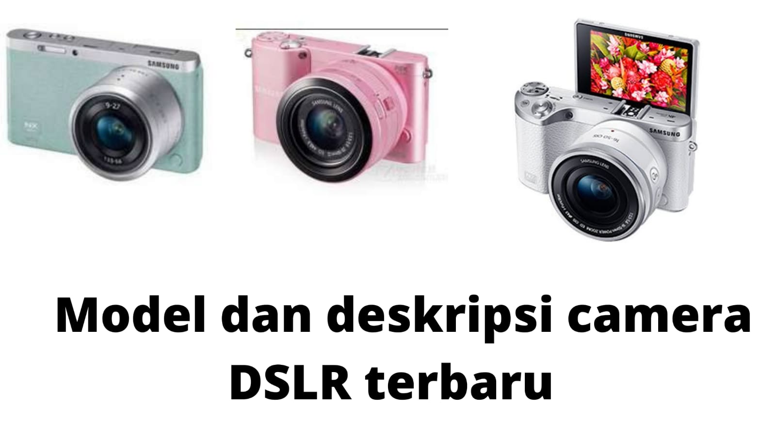 Tips Dan Cara Untuk Memilih Kamera DSLR Untuk Pemula