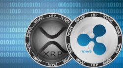 Semua yang perlu Anda ketahui Tentang Ripple XRP