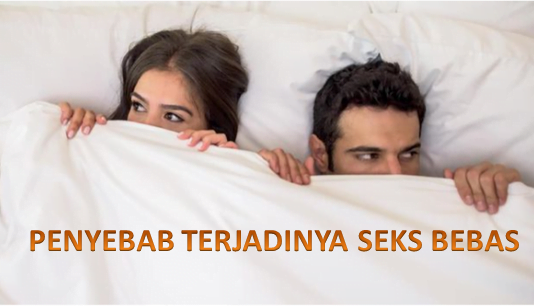 SEKS BEBAS 1-6482e3e0