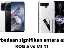 Perbandingan Spesifikasi Asus ROG Phone 5 dan Xiaomi MI 11