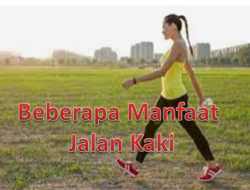 Manfaat Jalan Kaki Untuk Kesehatan