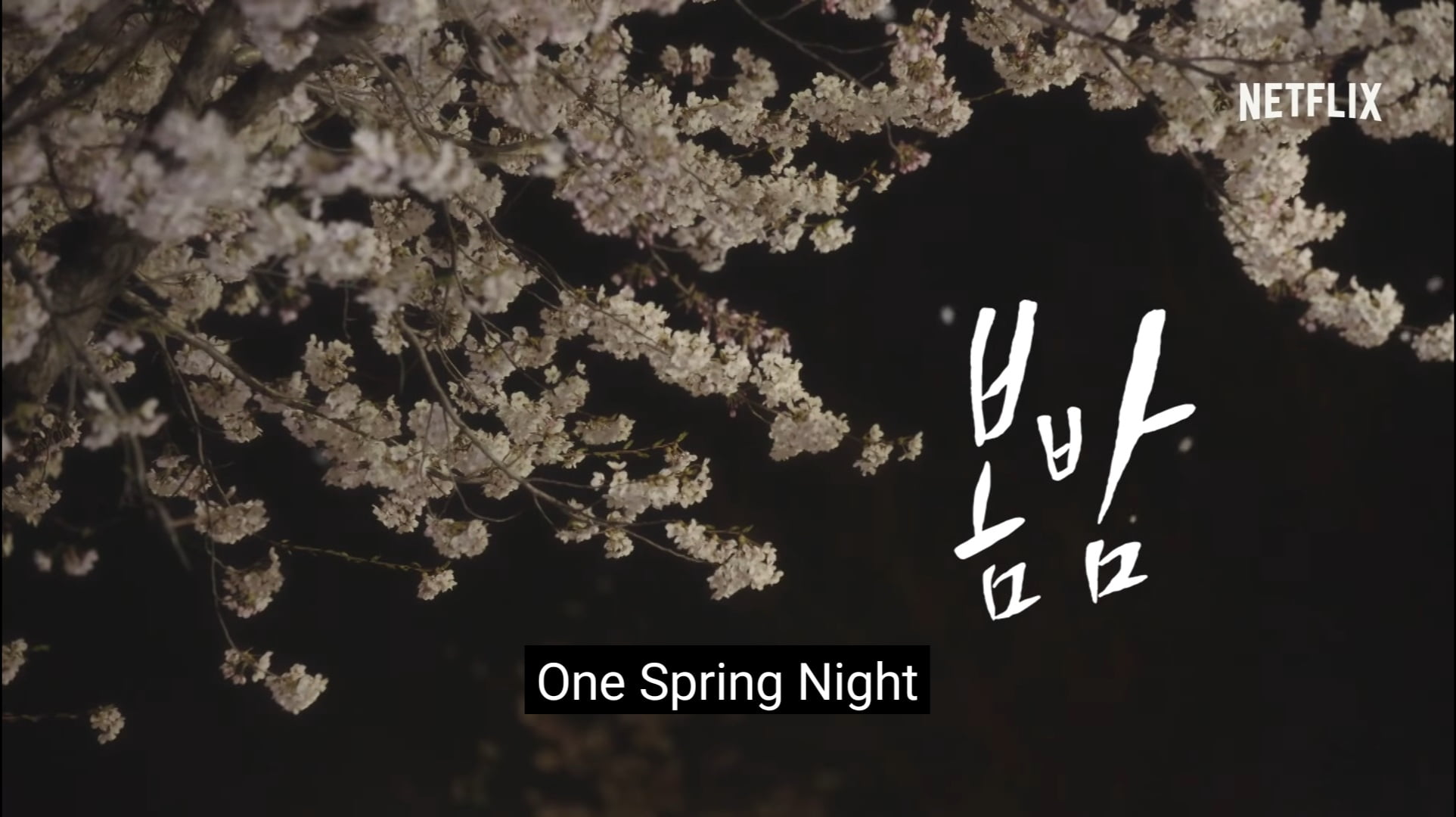 One Night Spring